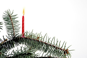 Goccioline su abete di Natale