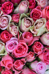 Pink wedding roses