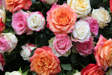 Multicolored rose bouquet