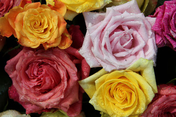 Multicolored rose bouquet
