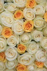 Fototapeta na wymiar białe i żółte róże ślub