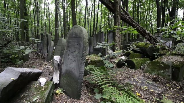 Old graves at historic Jewish cemetery in Warsaw, Poland