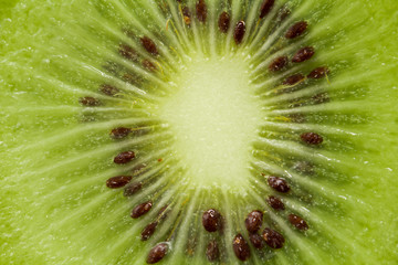 kiwi as background. macro
