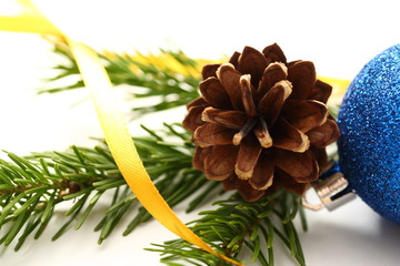 Twig of evergreen fir and cone