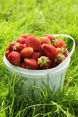 Ripe strawberry in basket on grass