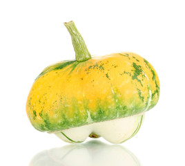 pumpkin isolated on white