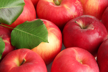 juicy red apples with green leaves, close up