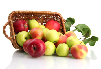 juicy apples with green leaves in basket, isolated on white