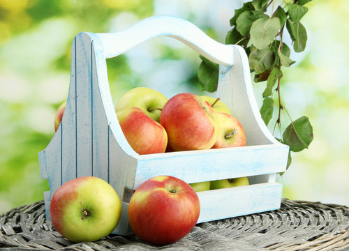 juicy apples with leaves in wooden basket, on green background