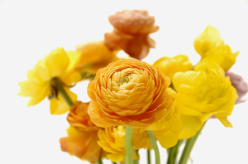 Bouquet of colorful flowers