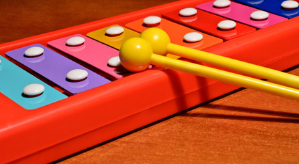 xylophone a toy