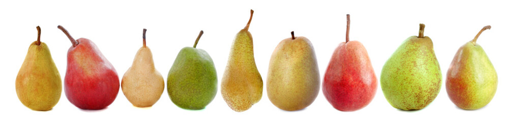 varieties of pears