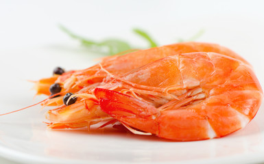 tiger shrimps