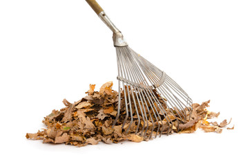 Laubrechen und Herbstlaub