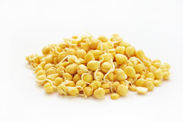 Germinated lentil grains as background