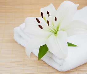 white lilly and towel