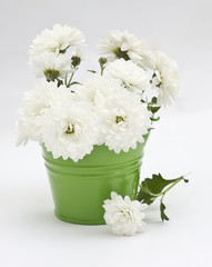 Bunch of bright white flowers in green bucket