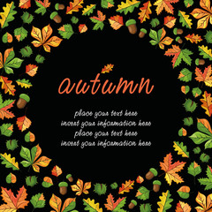 Vector frame with the image of autumn leaves