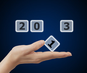 woman hand holding button 2013 keyword