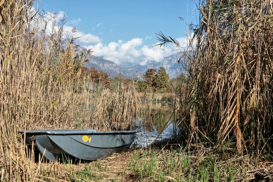 Oasi faunistica tra lago e montagne