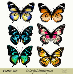 Fototapeta na wymiar Collection of vector colorful realistic butterflies