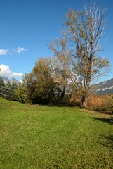 Autunno - Verde e Blu