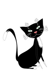 Black cat isolated on white background