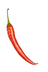 Red hot chilli pepper isolated