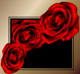 Rose in frame