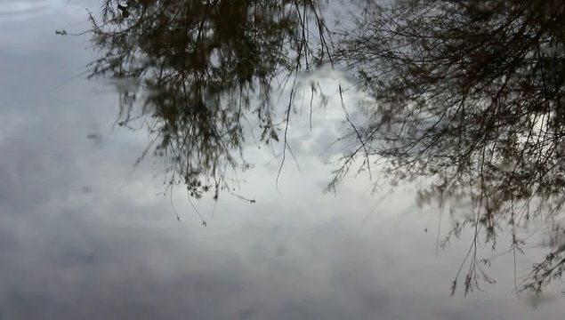 Gotas de lluvia sobre el agua