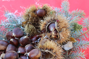 castagne