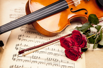 Beautiful roses and violin! © BrunoWeltmann
