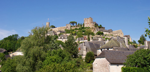 Fototapeta na wymiar Chateau de Turenne