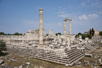 didyma