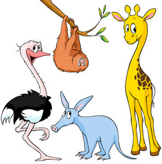 Fototapeta premium cute exotic animal - giraffe, sloth, ostrich and aardvark