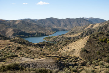 Fototapeta na wymiar Vineyards at Douro river valley, Portugal