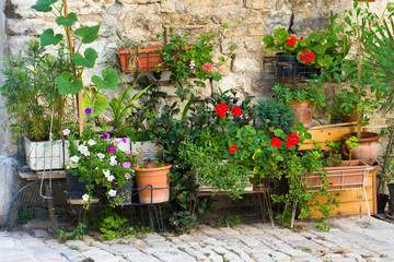 Fototapeta na wymiar Many different flowers on a garden in Rovinj.