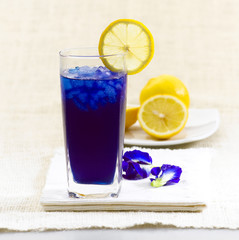Fresh butterfly pea herb juice for health in cool glass