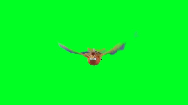 toy plastic bird with green screen