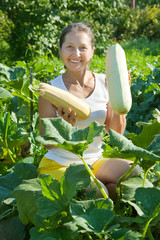  woman  picking vegetable marrow © JackF
