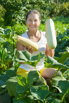  woman  picking vegetable marrow