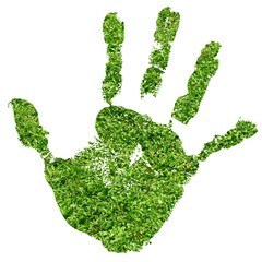 Conceptual human hand print made of fresh green grass