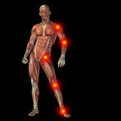 High resolution conceptual 3D human with inflammation
