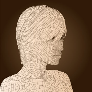High resolution conceptual 3D wireframe human female