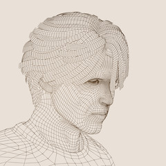 High resolution conceptual 3D wireframe man head