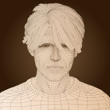 High resolution conceptual 3D wireframe man head