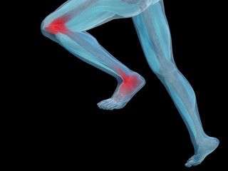 High resolution 3D human for anatomy,medicine and health