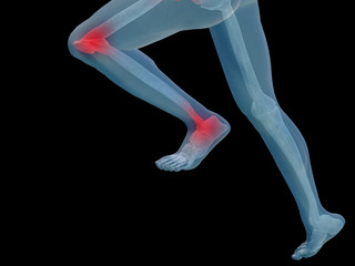 High resolution 3D human for anatomy,medicine and health