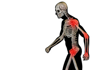 High resolution 3D human ideal for anatomy,medicine and health