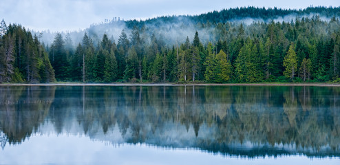 Reflet parfait de la forêt brumeuse dans le lac
